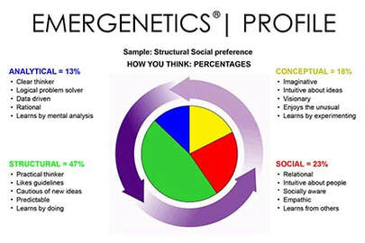 Individual Emergenetics Profile