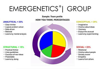 Sample Team Emergenetics Profile